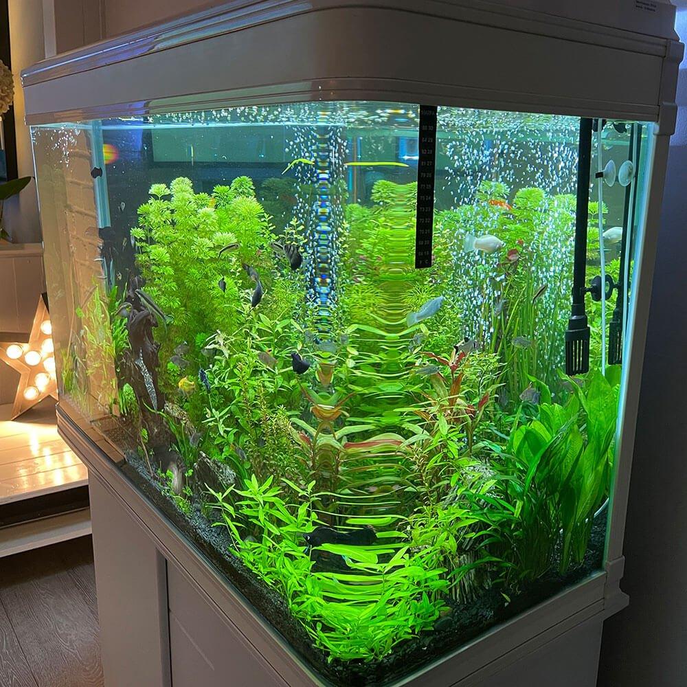 250L Cabinet Fish Tank (107cm 3.6ft) 2 Colours - Image 15